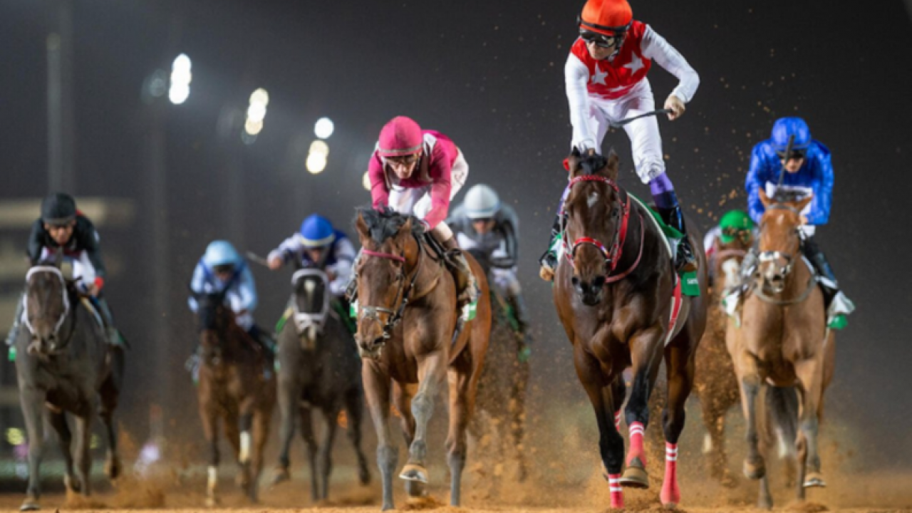 Newly promoted Gr.1 Saudi Cup headlines $35.1million ... Image 1